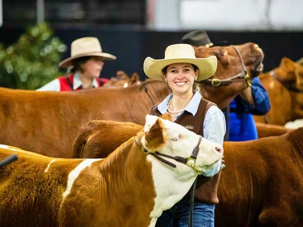 Entries Open for Melbourne Royal Blue-Ribbon Competitions 