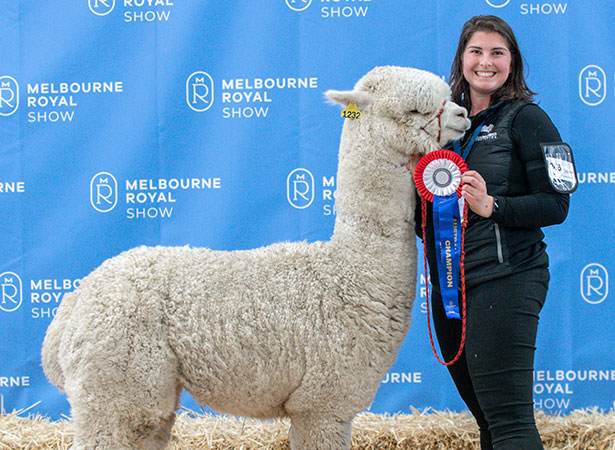 2022 Melbourne Royal Alpaca Competition Champions